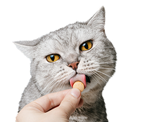 Dewormer