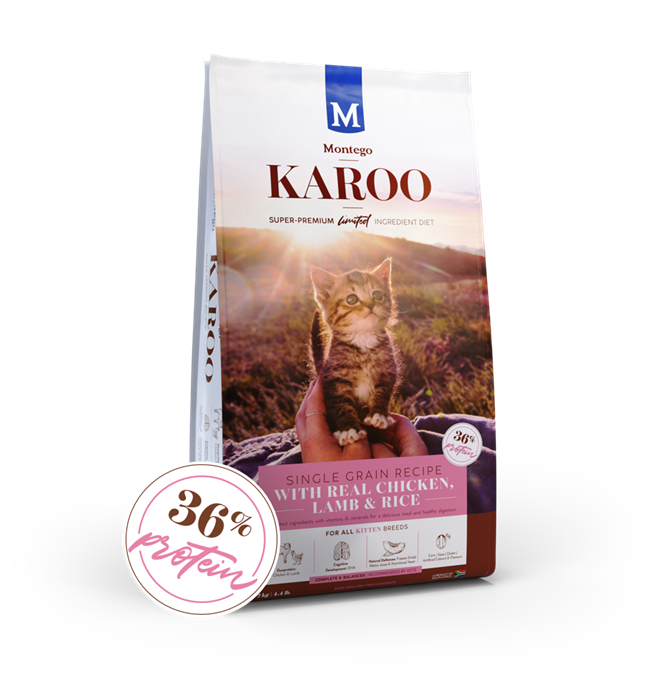 Montego Karoo Chicken & Lamb Kitten Food - 2kg