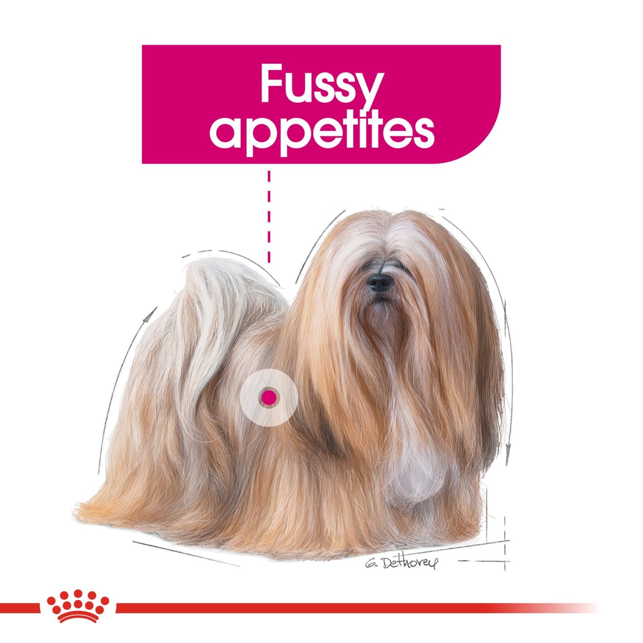 Royal Canin Mini Exigent 3kg