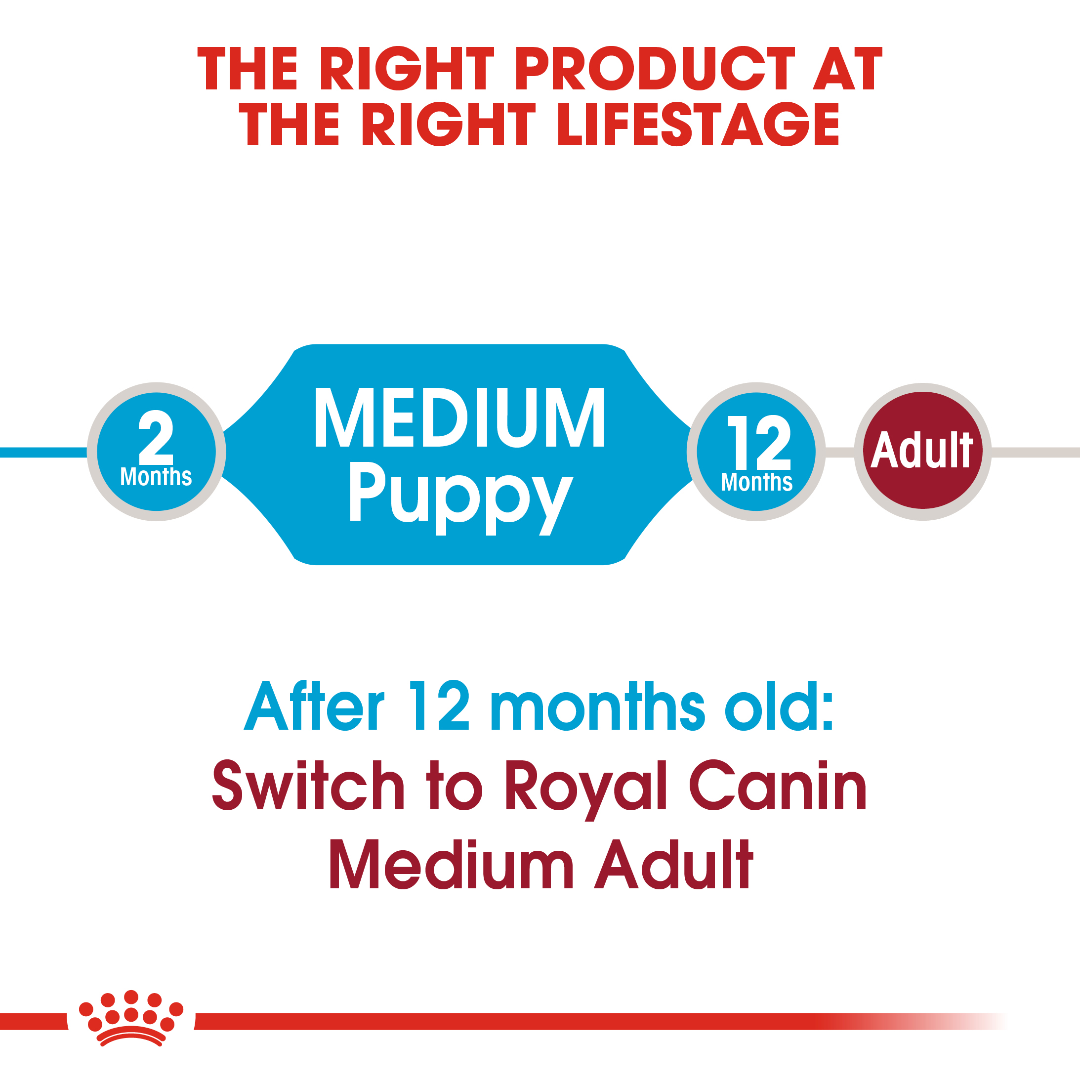 Royal Canin Medium Puppy - 4kg